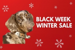 23.11.2025 - Black Week Winter Sale bei Once So Real! / Black Week Winter Sale at Once So Real!