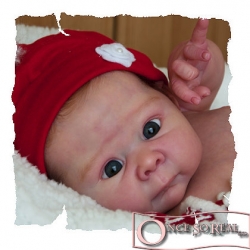 19.11.2025 - Neulieferung Lizzy by Adrie Stoete! / New shipment of Lizzy by Adrie Stoete!