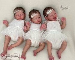 19.11.2025 - Neuvorstellung Ren, Nagi und Aoi by A.K. Kitagawa! / New triplets Ren, Nagi and Aoi by A.K. Kitagawa!