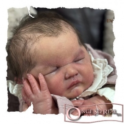 16.11.2025 - Neuvorstellung Emma Wendy Sue by Melanie Ingold! / New baby kit Emma Wendy Sue by Melanie Ingold!