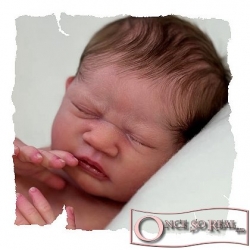 29.11.2025 - Pre-Order Tulipa by Priscila Lopez! /Pre-order Tulipa by Priscila Lopez!